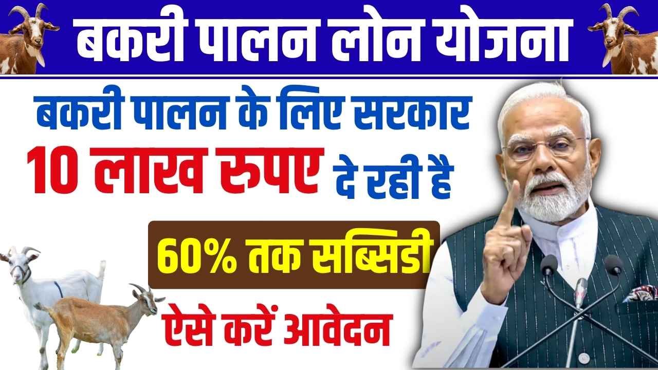 Bakri Palan Farm Yojana 2025